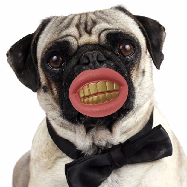 Picture of Gryzak Psi Wyszczerz