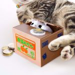Skarbonka kot psotnik prezent na święta ciekawe skarbonki