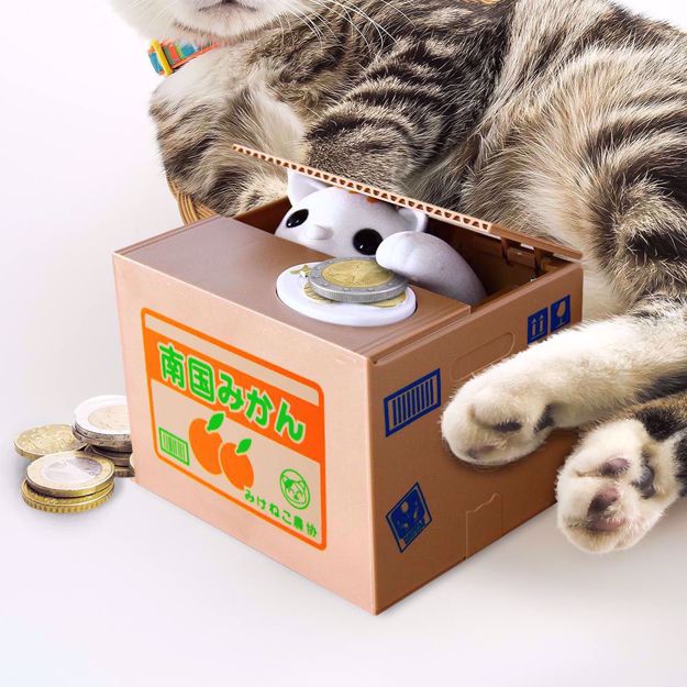 Skarbonka kot psotnik prezent na święta ciekawe skarbonki