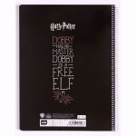 Harry Potter – Notes Zgredek duże notesy sklep stacjonarny