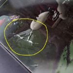 Picture of Outlet Stupromilowy Las - Gra do Piwa 