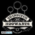 Harry Potter Torba Sportowa Quidditch Golden Snitch Sport Bag 