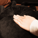 Pluszowy pająk  – czarna tarantula maskotka dekoracja Halloween