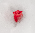 Mydlane róże w białym koszyczku